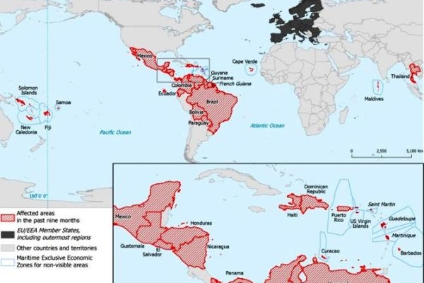 31 nước bùng phát virus Zika gây bệnh đầu nhỏ ở trẻ sơ sinh