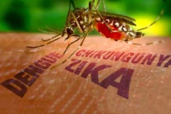 Bệnh do vi rút ZIKA