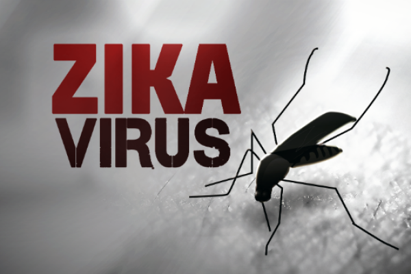 Tin mới virus Zika ở Việt Nam