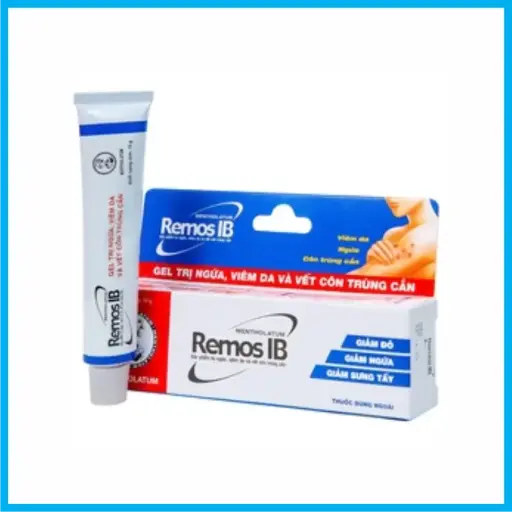 [REMOSIB_TKKD] Remos IB